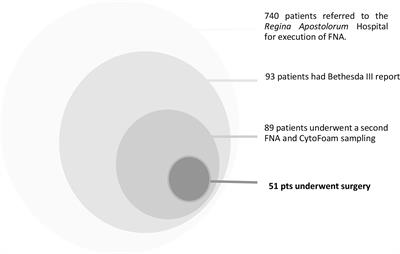 An innovative synthetic support for immunocytochemical assessment of cytologically indeterminate (Bethesda III) thyroid nodules